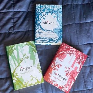 Teen Young Adult book novel series fantasy